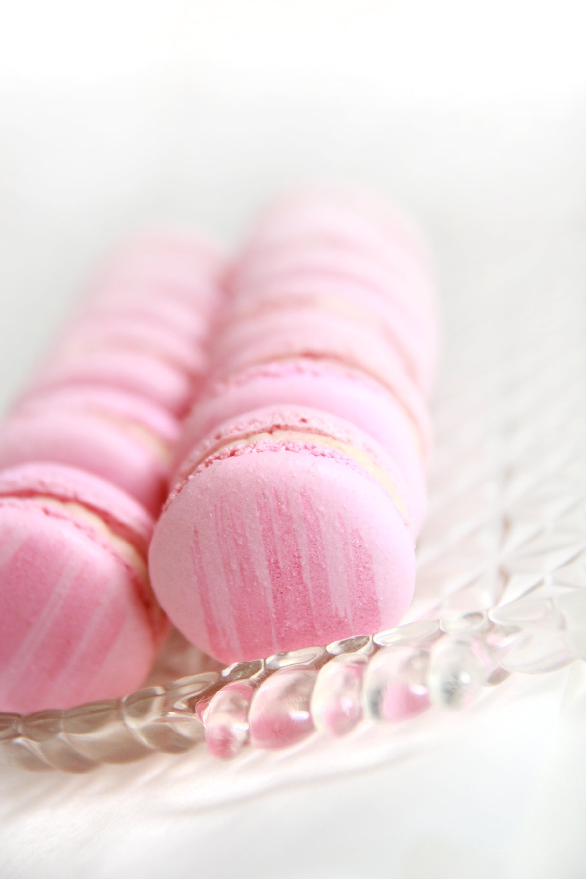 Strawberry Rhubarb Rosé