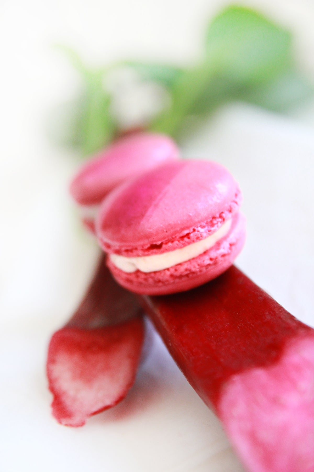 Rhubarb and Vanilla Macarons