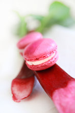 Load image into Gallery viewer, Rhubarb and Vanilla Macarons
