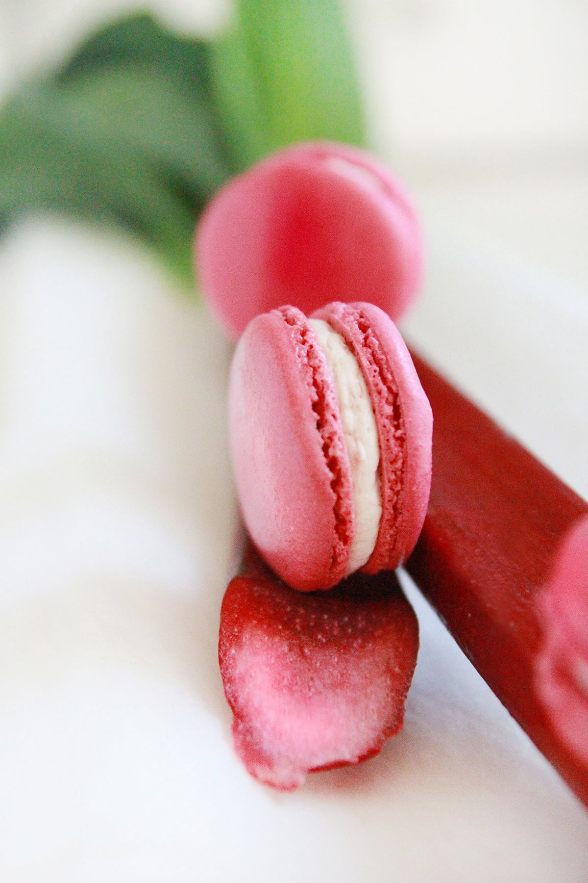 Rhubarb and Vanilla Macarons