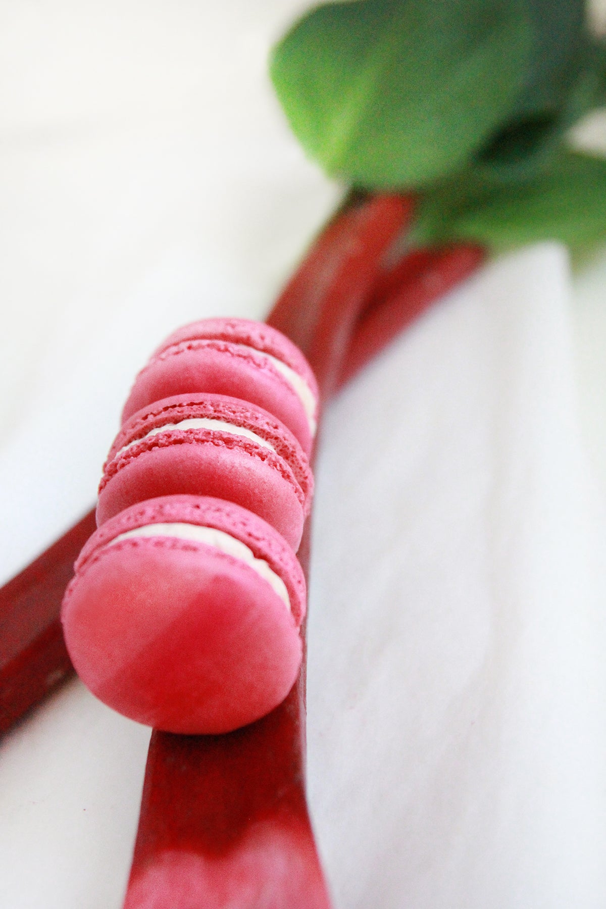 Rhubarb and Vanilla Macarons