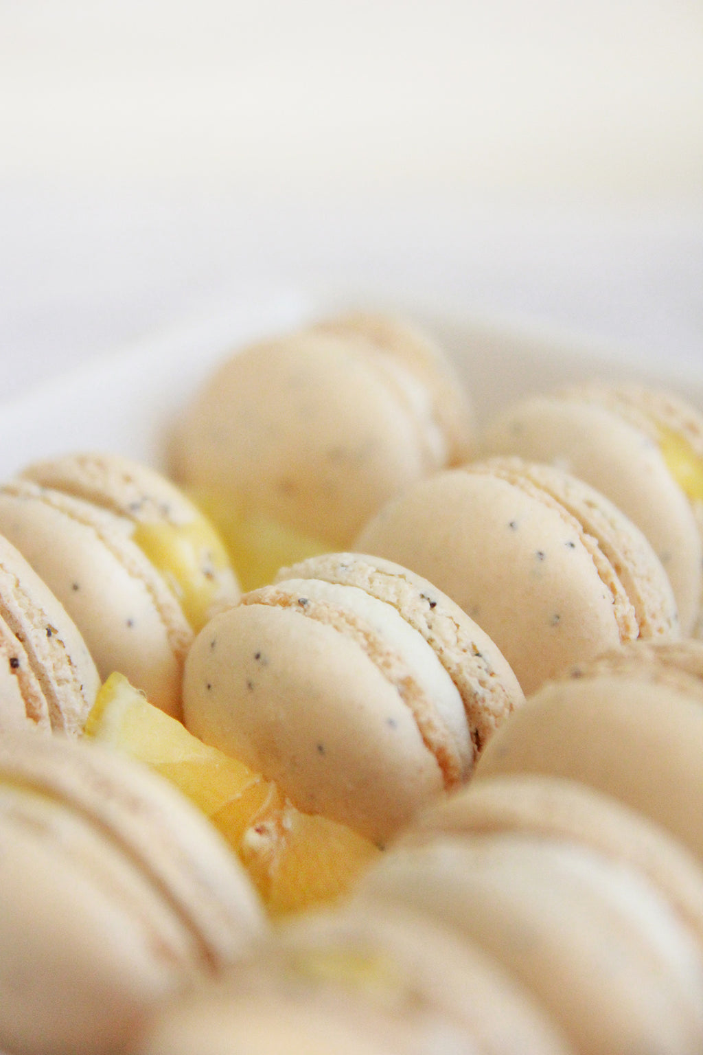 White Chocolate Lemon Poppy Seed