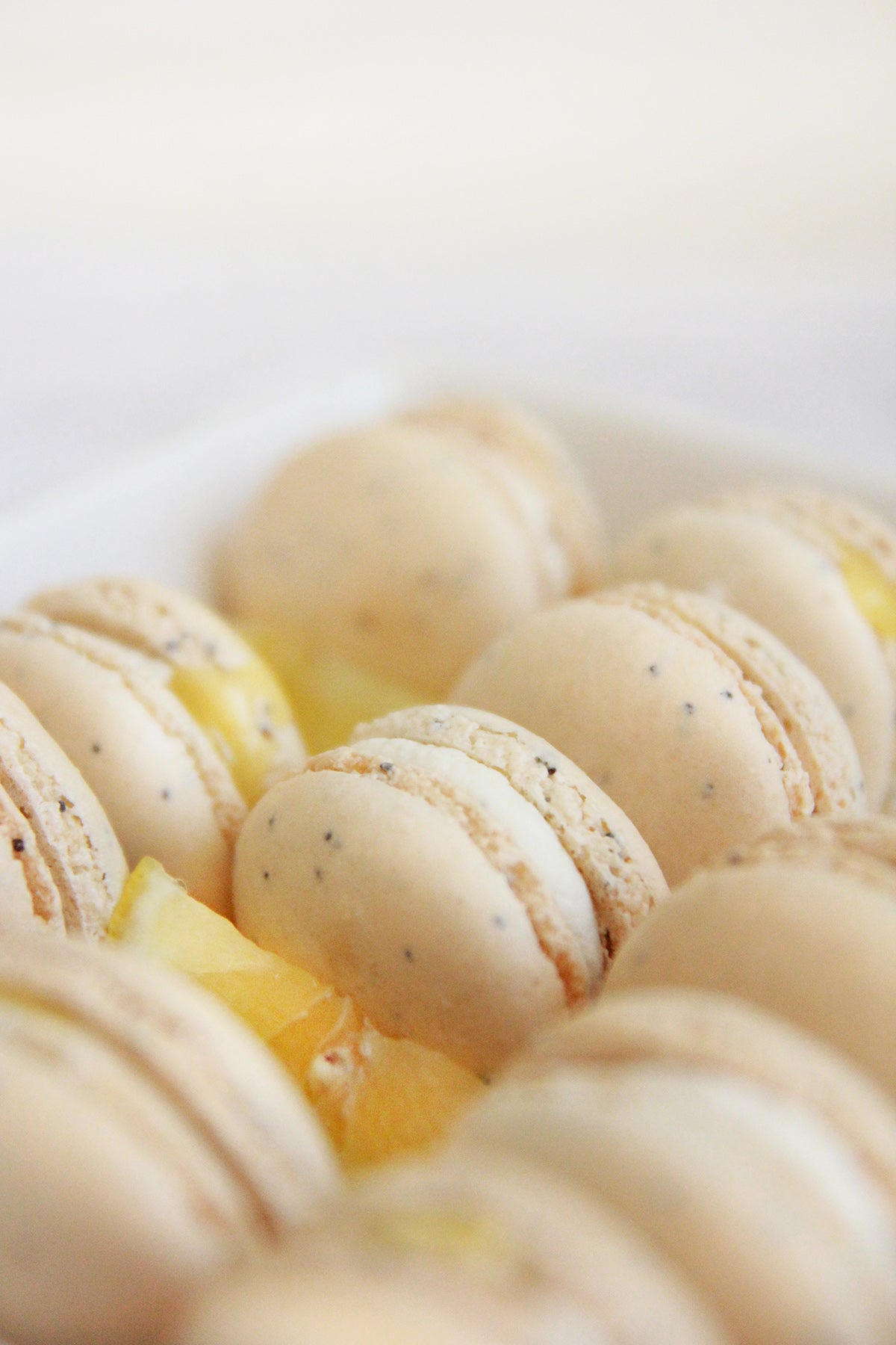 White Chocolate Lemon Poppy Seed