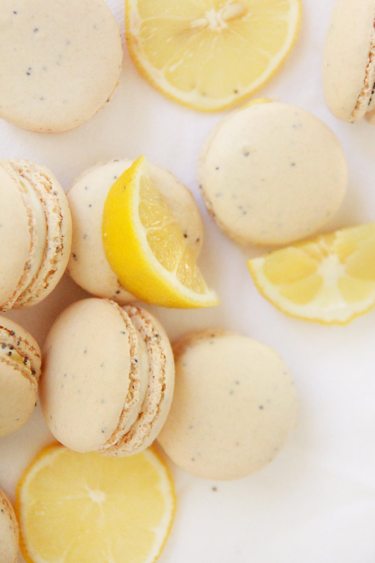 White Chocolate Lemon Poppy Seed