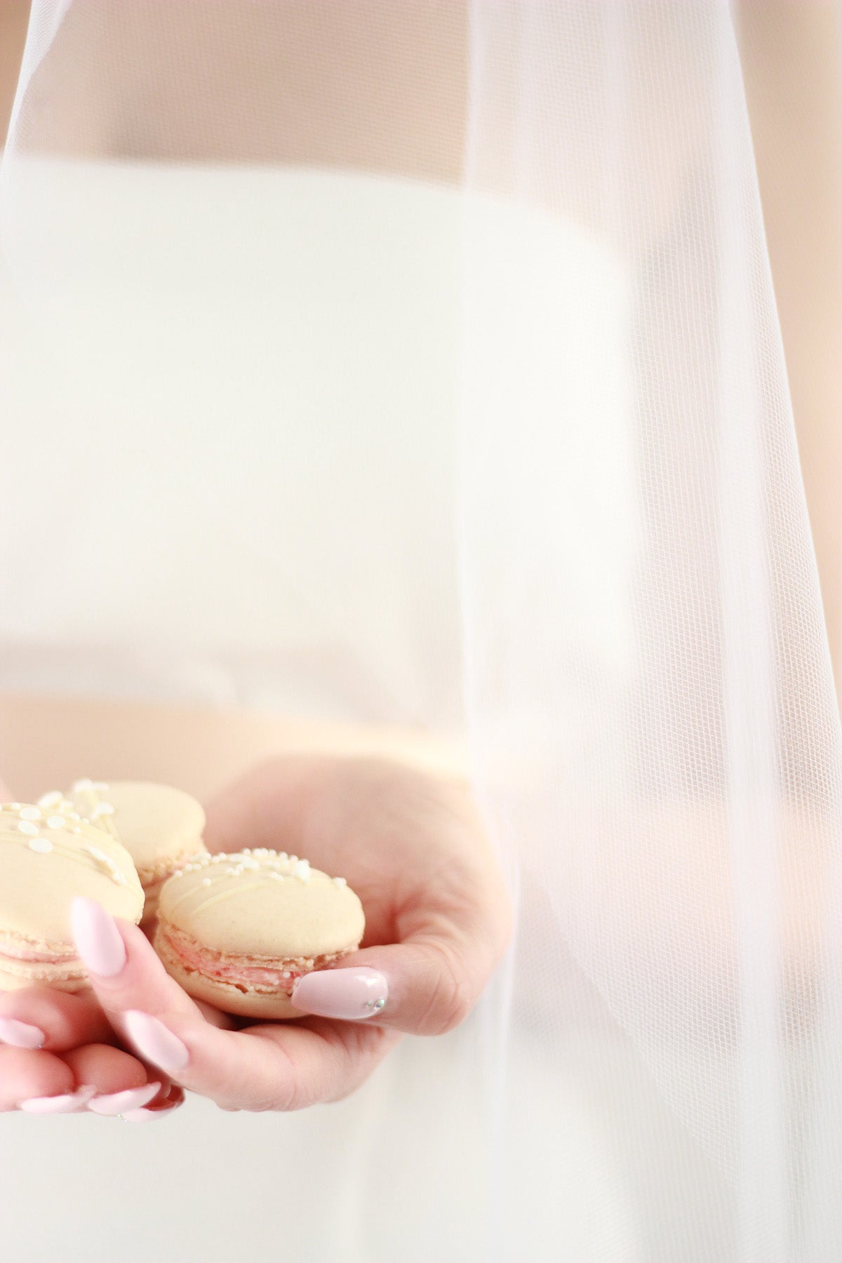 Two Piece Macaron Favours