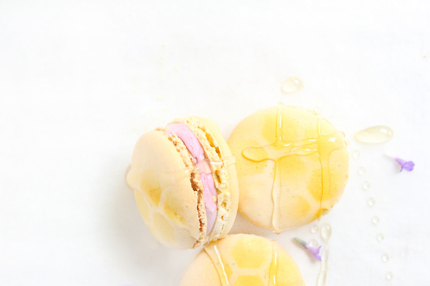 Honey Lavender Macarons